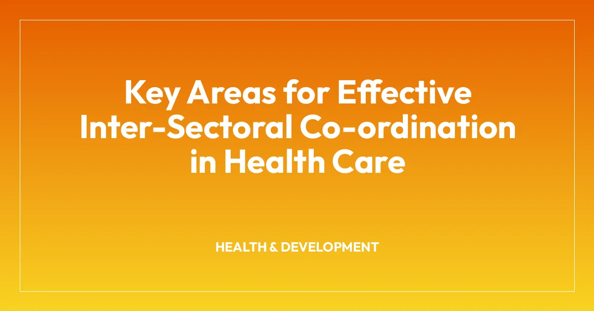 Key Areas for Effective Inter-Sectoral Co-ordination in Health Care