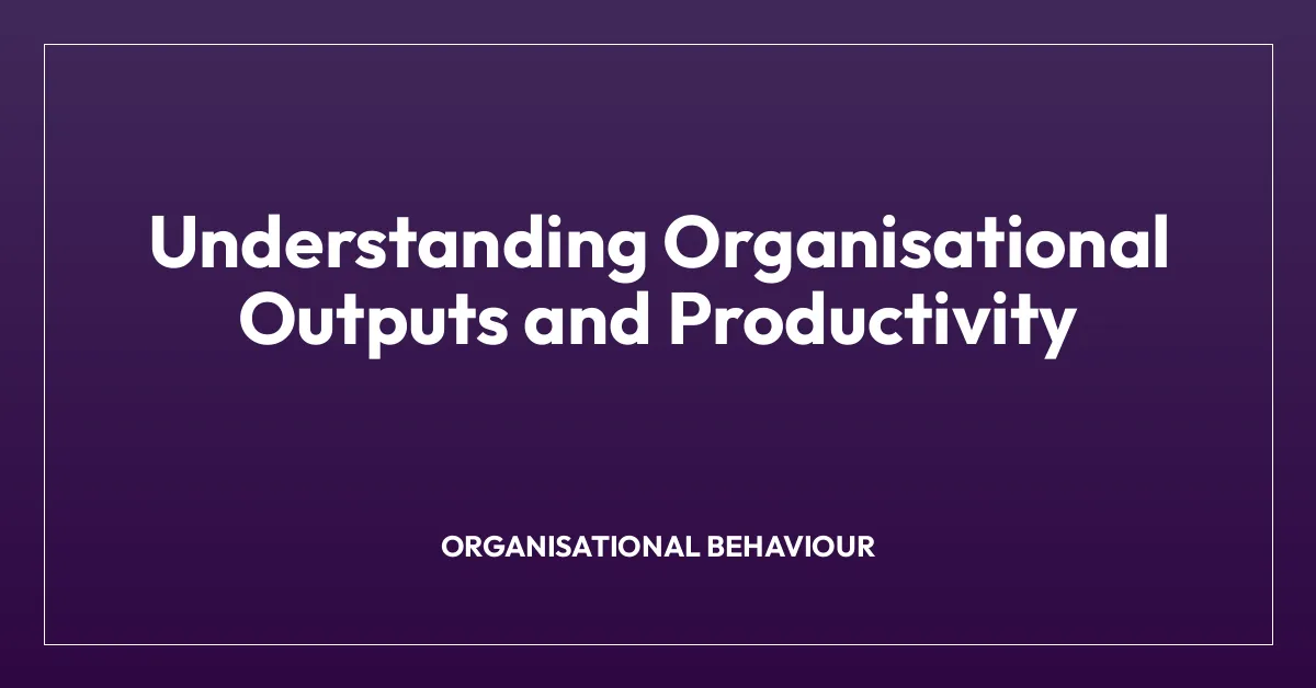Understanding Organisational Outputs and Productivity